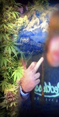 Foto de SmokeDope2016