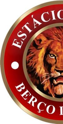 Foto de G.R.E.S. Estácio de Sá (RJ)