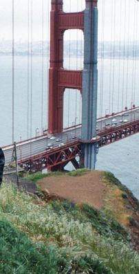 Foto de Scott McKenzie