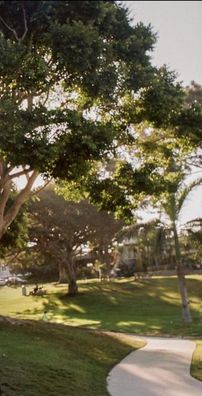 Foto de Jutty Taylor