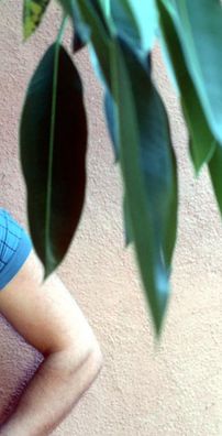 Foto de Michael Sembello