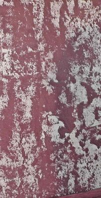 Foto de Jônatas Netto