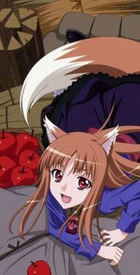 Foto de Spice And Wolf (anime)