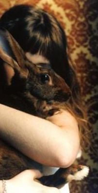 Foto de florence road