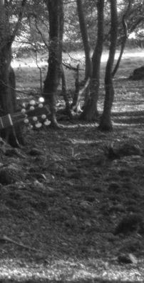 Foto de James Vincent McMorrow