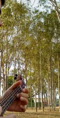 Foto de Erick Araújo