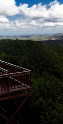 Foto de Paulo Rodrigo Pianista