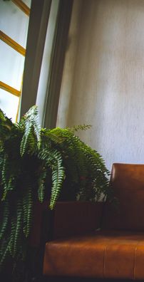 Foto de Natan Kurata