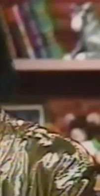 Foto de Zapp & Roger