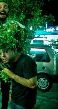 Foto de A Marcha das Árvores