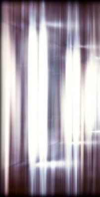 Foto de Boy Talks Trash