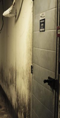 Foto de Definições Imprecisas