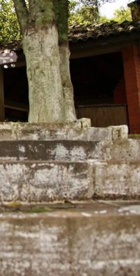 Foto de Bruna Ritterbuch