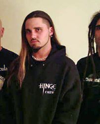 Foto de Dry Kill Logic