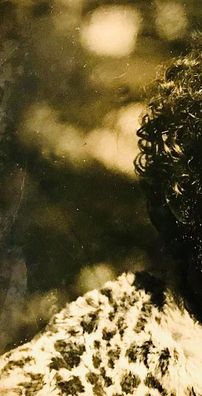 Foto de Flaviola e o Bando do Sol