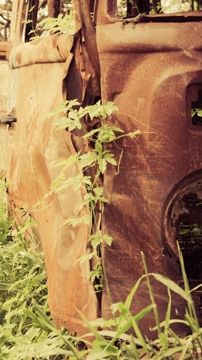 Foto de Giovani Cidreira