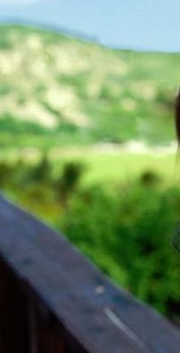 Foto de Bruna Tatiana