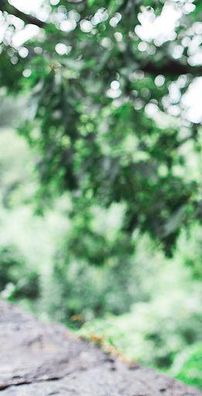 Foto de Frankie Cosmos