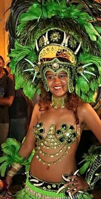 Foto de Boi da Mocidade de Rosário