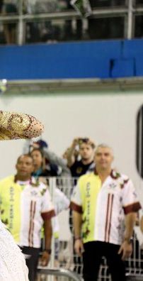 Foto de G.R.C.S Vai-Vai