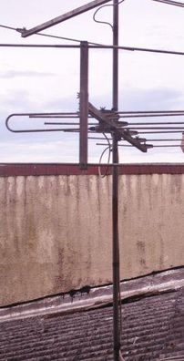 Foto de Os Bacamartes