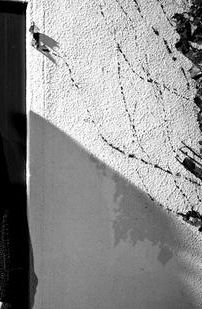 Foto de Deptford Goth