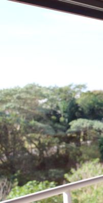 Foto de Isabella Neves