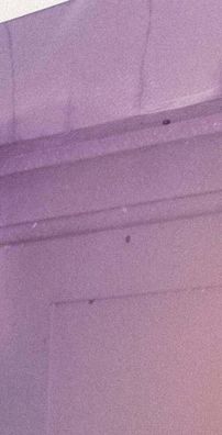 Foto de Álvaro Díaz