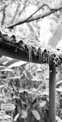 Foto de Sabedoria Nahtiva