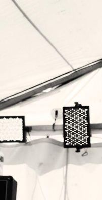 Foto de The Sweet Apes