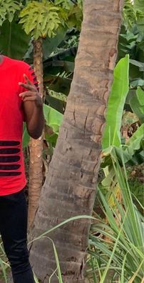 Foto de Eril Shackle