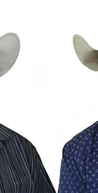 Foto de Cedro e Cedrinho