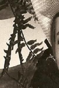 Foto de Nalva Aguiar