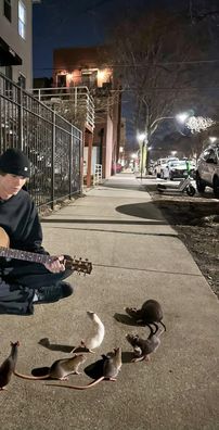 Foto de Will Swinton