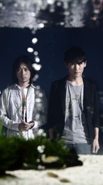 Foto de Sakanaction