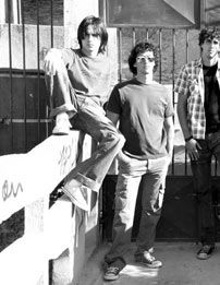 Foto de Besouros Verdez