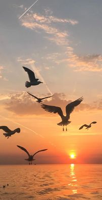 Foto de Outro Saculejo