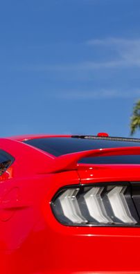 Foto de Porfírio Miranda