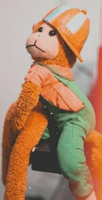 Foto de Macaco Severino