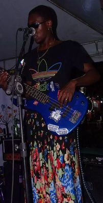 Foto de Samambaia Ornamental