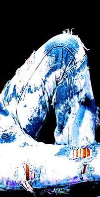 Foto de Cristiano Neves