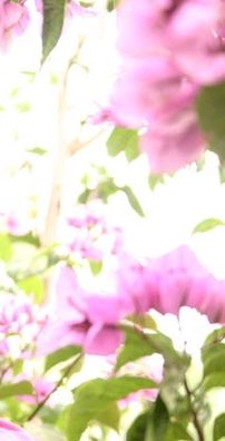 Foto de Carmen Silva