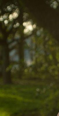 Foto de Tuia Lencioni