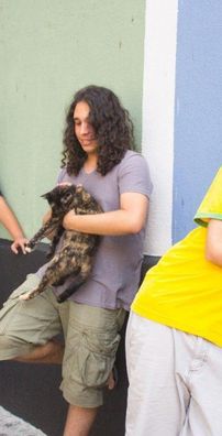 Foto de Ventilador de Teto