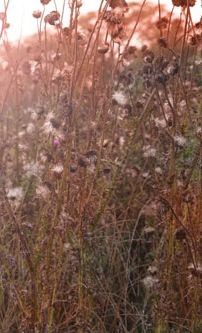 Foto de Phillip Larue