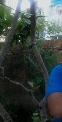 Foto de Dhannyllo Souza