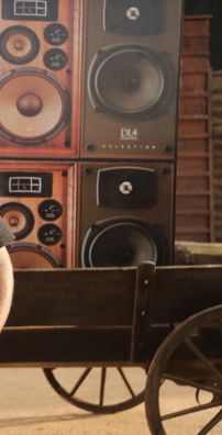 Foto de Raí Saia Rodada