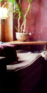 Foto de Steve Salazar