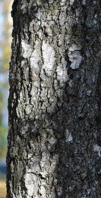 Foto de Yulia Matyukina