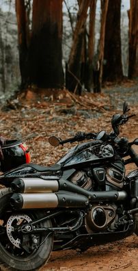 Foto de Luan Santana